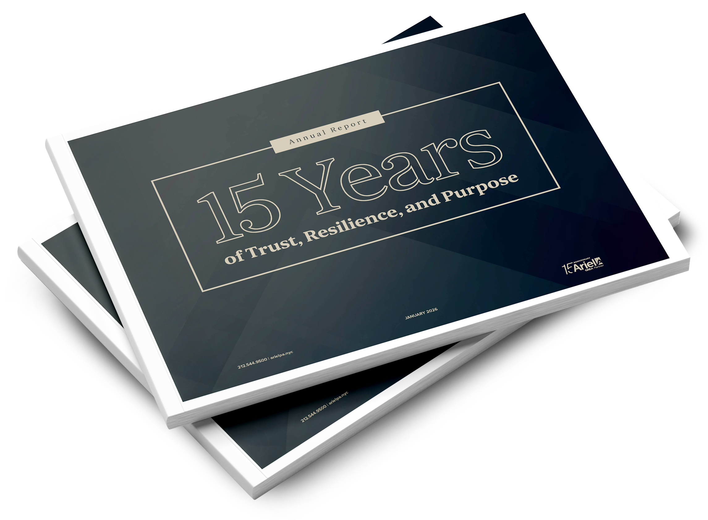 APA Annual Review 2025 brochure mockup